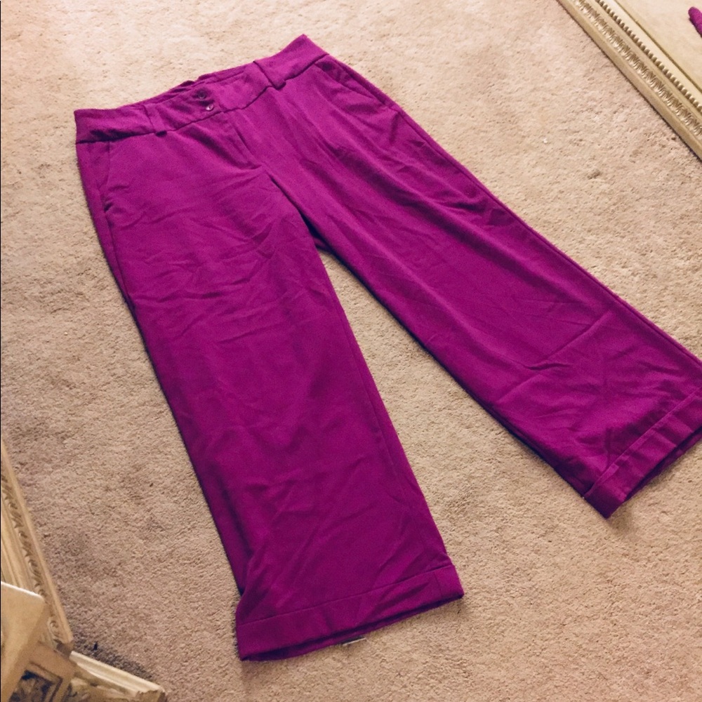 Lane Bryant Magenta Wide Leg Trouser Size 20